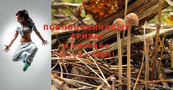 mdpv Абаза