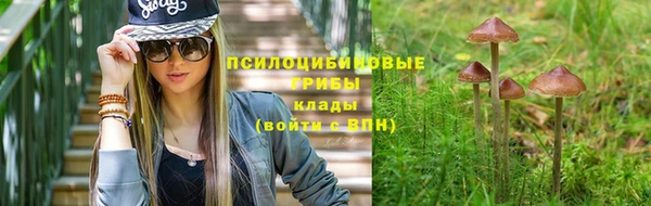 ALPHA PVP Алексин