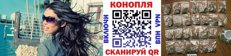 Бошки Шишки планчик  Грайворон 